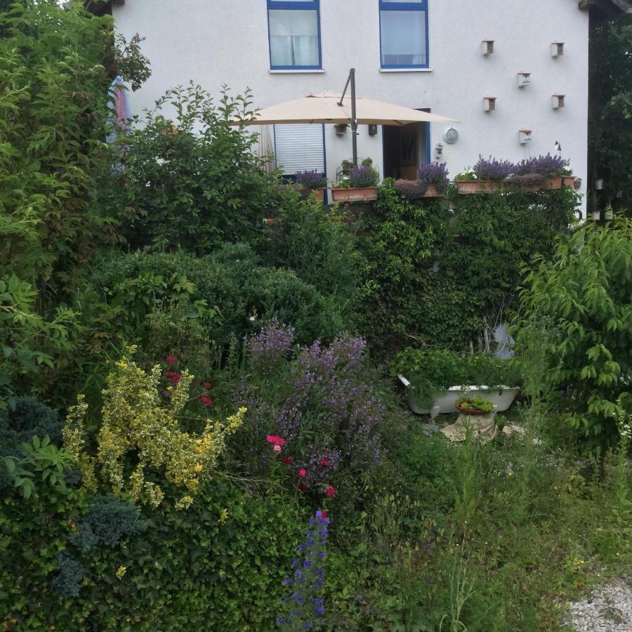 Ferienwohnung Hering In Dill Exterior photo
