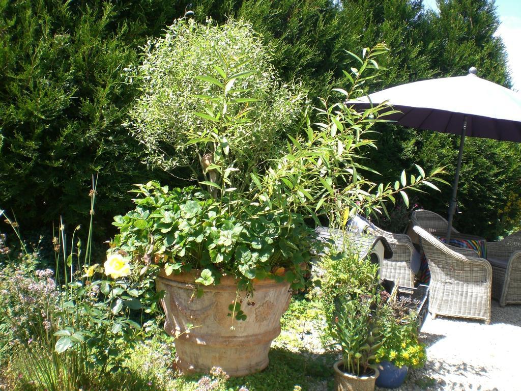 Ferienwohnung Hering In Dill Room photo